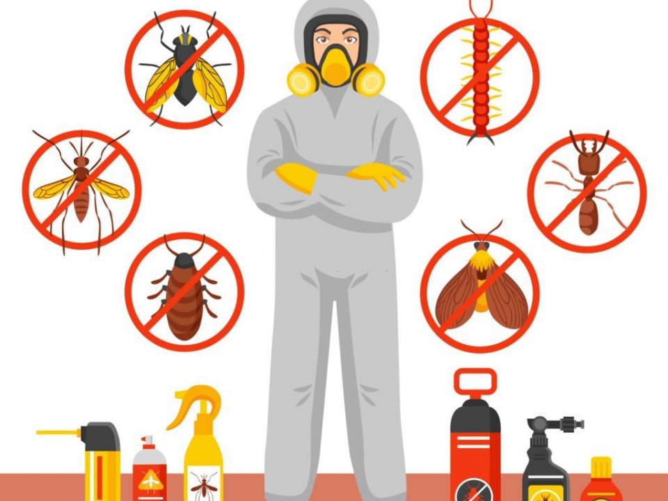 pest control services